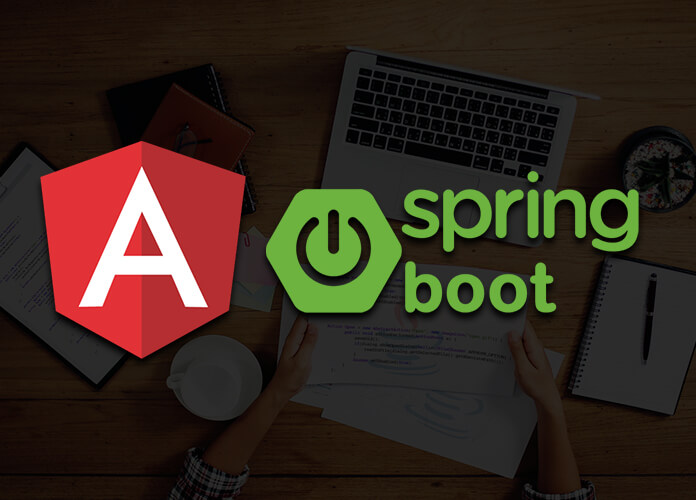 Angular - Spring boot FSD