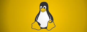 Linux assessments